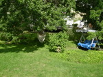 Photo Dump 30 July 2008 096