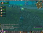 Being escorted through the wetlands