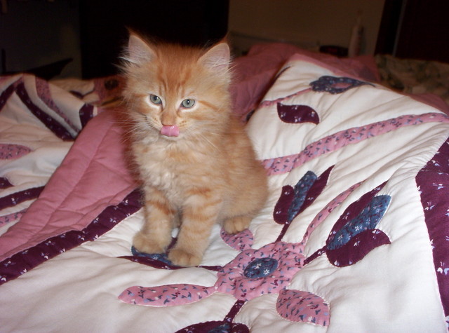 Wash posing for the camera