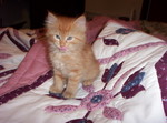 Wash posing for the camera