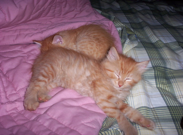 Finally, they're asleep.