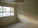 The Living Room