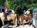 StateFair2008 001.jpg