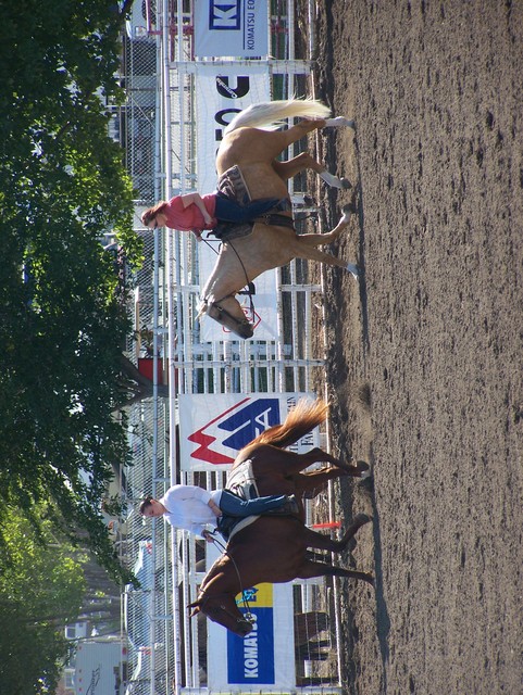 StateFair2008 007.jpg