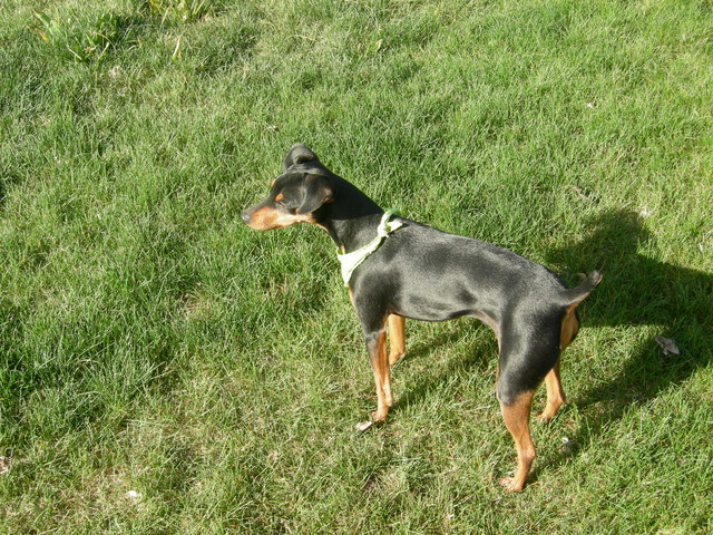 TJ2008 153