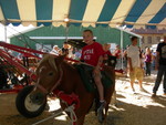 It was difficult to get a good shot of them on this ride.