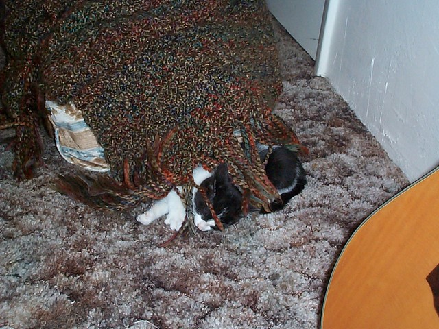 Nokie crashing after exploring