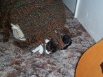 Nokie crashing after exploring