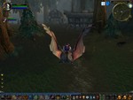 flying on bat